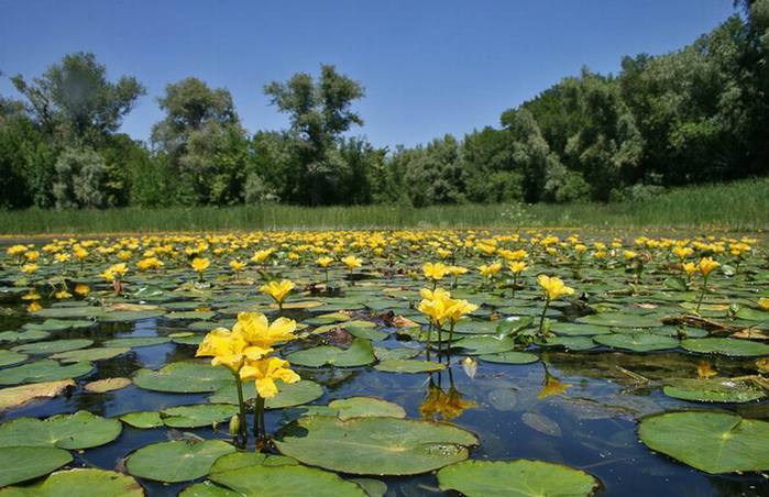 Астраханский Биосферный заповедник