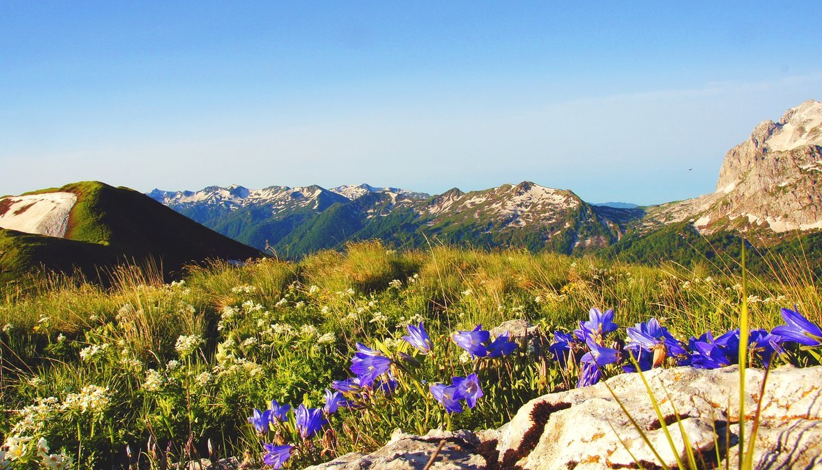 ВЕСЕННЯЯ АДЫГЕЯ