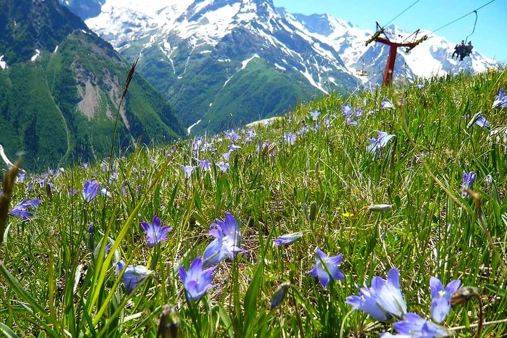 ДОМБАЙ + АРХЫЗ В МАЕ