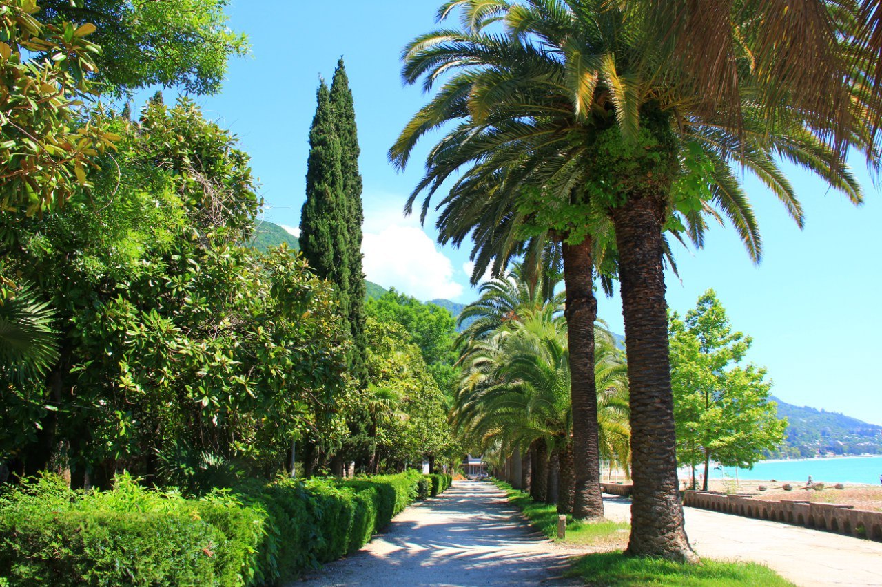 СОЧИ В МАЕ&nbsp;