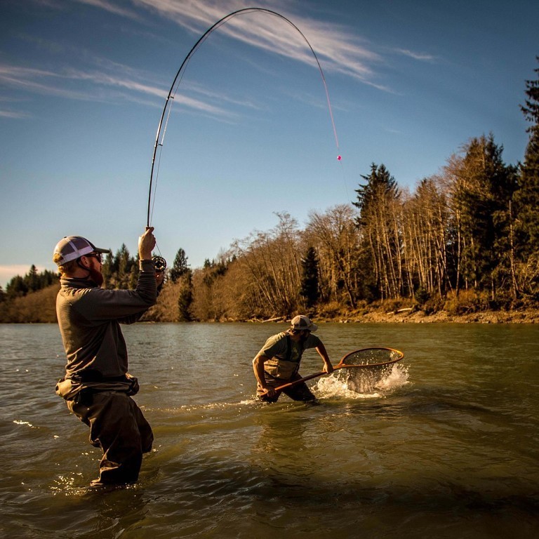 <span style="font-weight: bold;">Дельта Волги</span>