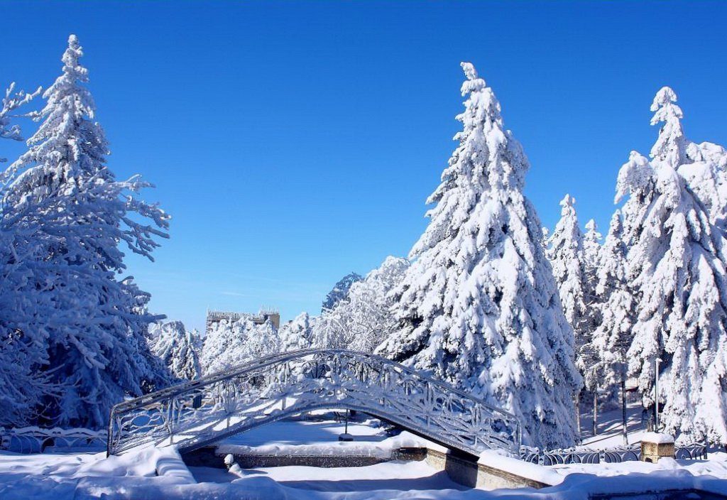 Новый год и Рождество 2020 в Кисловодске!